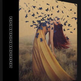 CREATIVELIVE – FINE ART PHOTOGRAPHY: THE COMPLETE GUIDE BY BROOKE SHADEN (Premium)