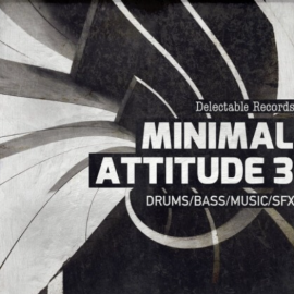 Delectable Records Minimal Attitude 03 [MULTiFORMAT]  (premium)