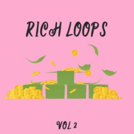 DiyMusicBiz Rich Loop Vol.2 [WAV] (premium)