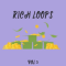 DiyMusicBiz Rich Loop Vol.3 [WAV]  (Premium)