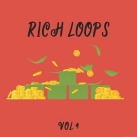 DiyMusicBiz Rich Loop Vol.4 [WAV]  (premium)