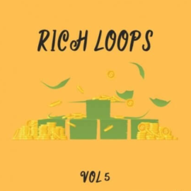 DiyMusicBiz Rich Loop Vol.5 [WAV]  (Premium)