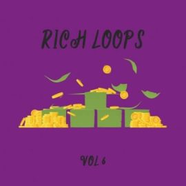 DiyMusicBiz Rich Loop Vol.6 [WAV] (Premium)