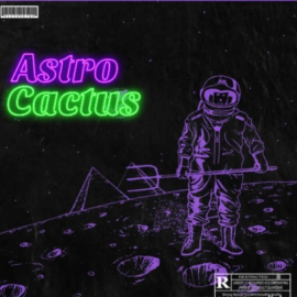 Major Loops Astro Cactus [WAV]  (premium)