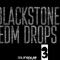 Munique Music Blackstone Edm Drops 3 [WAV]  (Premium)