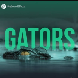 Pro Sound Effects Gators [WAV] (premium)