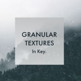 Whitenoise Records Granular Textures In Key [WAV] (Premium)