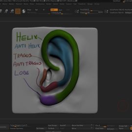 Sculpting the Facial Features in Zbrush (Premium)