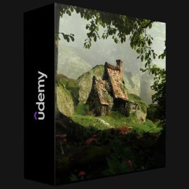 UDEMY – ENVIRONMENT COURSE IN BLENDER 2.93 (Premium)