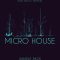 Dark Magic Samples Micro House [WAV, MiDi] (Premium)