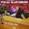 Dropgun Samples Vocal Slap House by Ocean Dive [WAV, Synth Presets] (Premium)