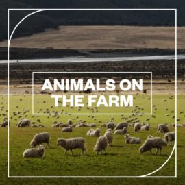 Blastwave FX Animals on the Farm [WAV] (Premium)