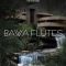 Dynasty Loops Bawa Flutes 11 [WAV] (Premium)