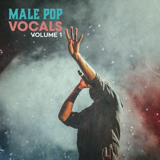 New Beard Media Male Pop Vocals Vol.1 [WAV]