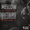 New Beard Media Mellow Acoustic Guitars Vol.3 [WAV] (Premium)