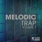 New Beard Media Melodic Trap Vol.7 [WAV] (Premium)