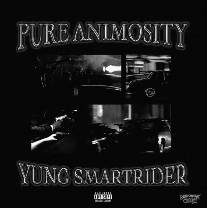 YUNG SMARTRIDER Pure Animosity [WAV, DAW Templates]