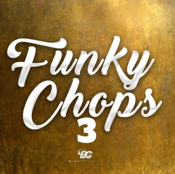 Big Citi Loops Funky Chops 3 [WAV]