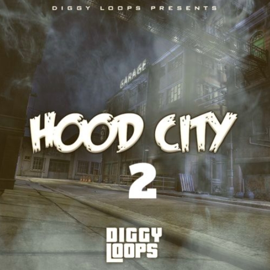 Big Citi Loops HOOD CITY 2 [WAV]