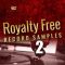 Big Citi Loops Royalty-Free Record Samples Part 2 [WAV] (Premium)