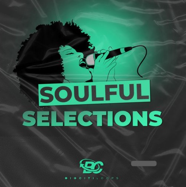 Big Citi Loops Soulful Selections [WAV]