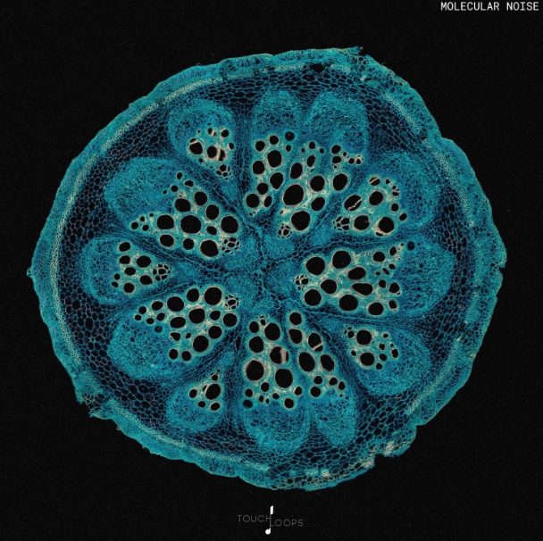 Touch Loops Molecular Noise [WAV]
