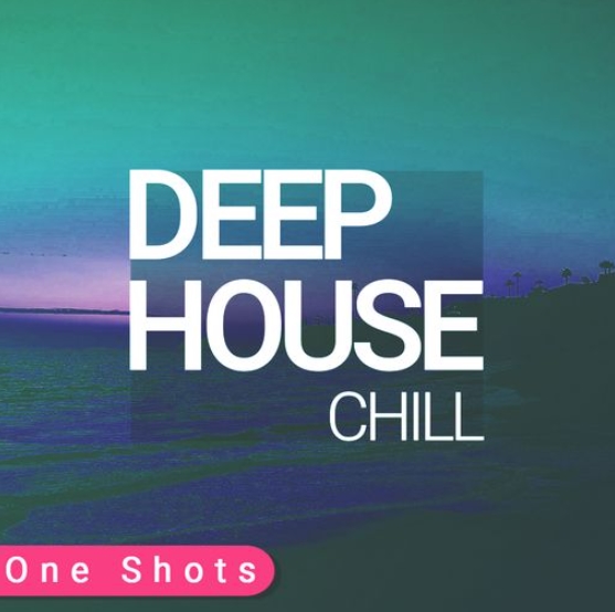 Whitenoise Records Chill Deep House ONE SHOTS [WAV]