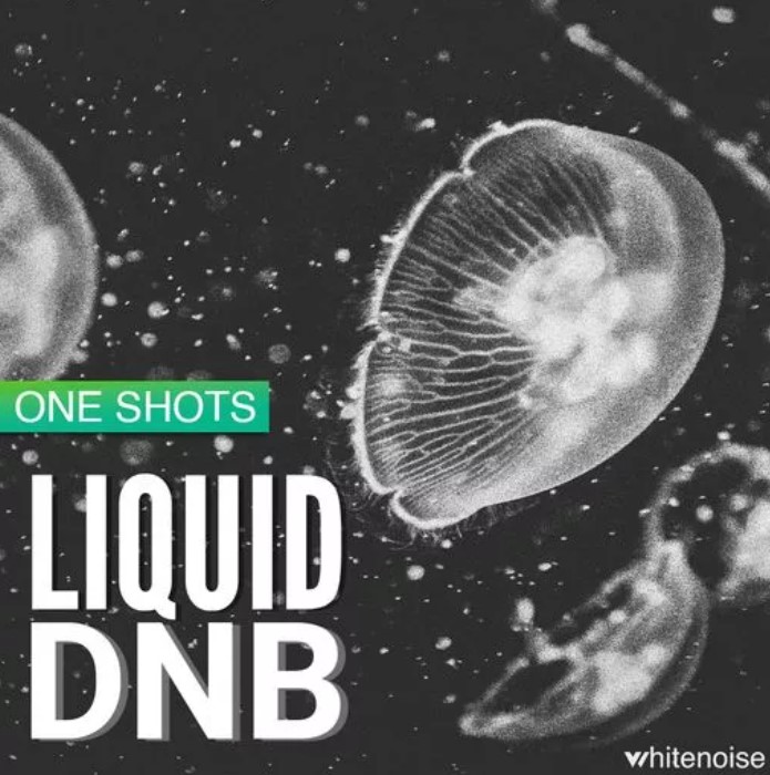 Whitenoise Records Liquid Drum & Bass ONESHOTS [WAV]