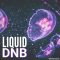 Whitenoise Records Liquid Drum & Bass [WAV] (Premium)