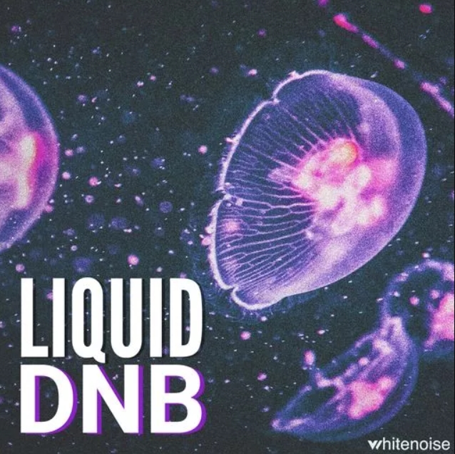 Whitenoise Records Liquid Drum & Bass [WAV]