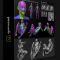 GUMROAD – FEMALE MODULAR ANATOMY (premium)