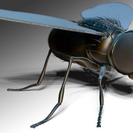 Zbrush Online Course Sculpting And Modelling “The Fly” (Premium)