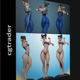 CGTRADER – CHUNLI 3D PRINT MODEL (Premium)