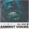 Cartel Loops Ambient Voices [WAV] (Premium)