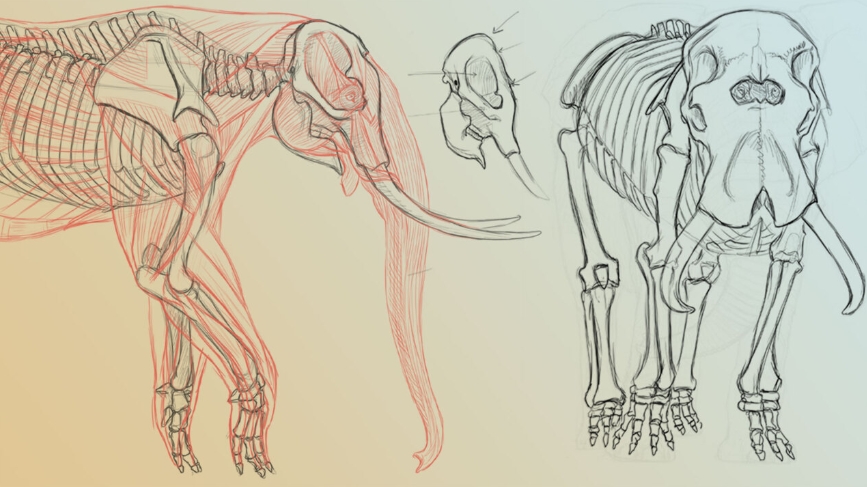 THE GNOMON WORKSHOP – ELEPHANT ANATOMY VOL. 2: PREHISTORIC STUDIES & IMAGINARY CONCEPTS