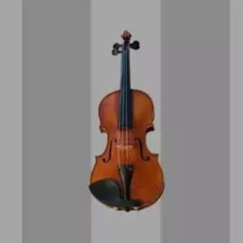 Udemy The Ultraguide to playing violin beginner to intermediate [TUTORiAL] (Premium)