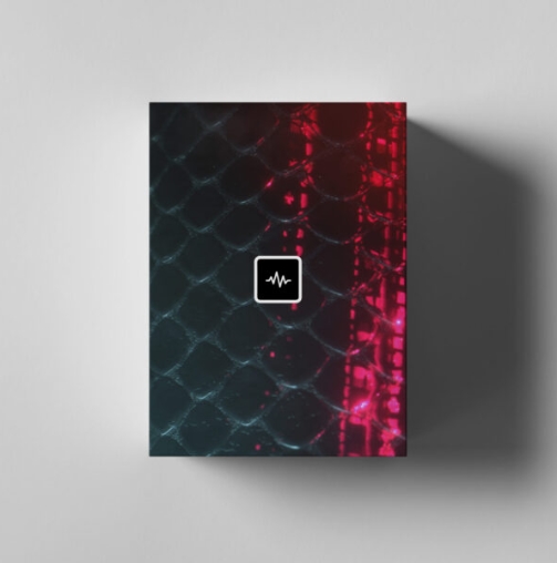 WavSupply Roy Major Carbon (Loops + Midi Kit) [WAV, MiDi]