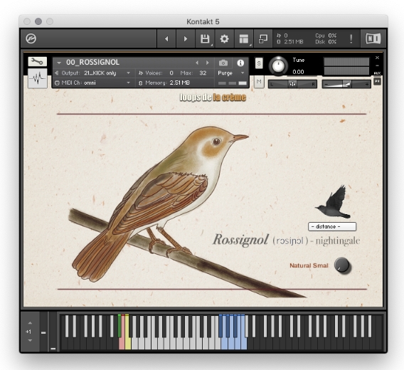 Loops De La Creme Songbird Virtuoso [KONTAKT]