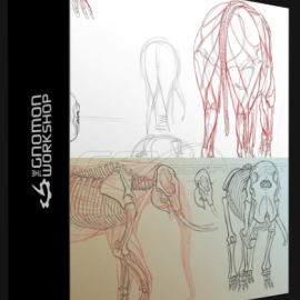 THE GNOMON WORKSHOP – ELEPHANT ANATOMY VOL. 1: DRAWING SKELETONS & MUSCULATURE (Premium)