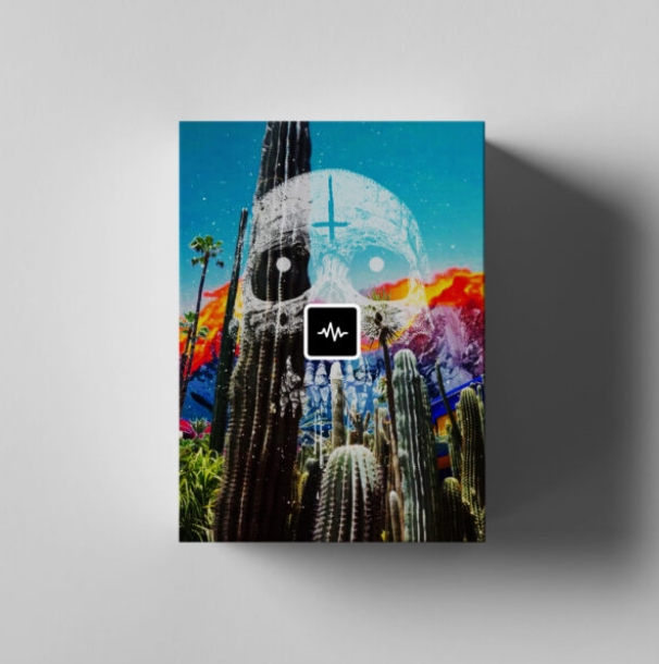 WavSupply KC Supreme Deja Vu Sample Kit (Stems + Midi) [WAV, MiDi]