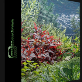 MAXTREE – PLANT MODELS VOL. 83 (Premium)