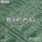 Dynasty Loops Ricch [WAV] (Premium)