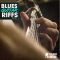 New Beard Media Blues Guitar Riffs Vol 1 [WAV] (Premium)