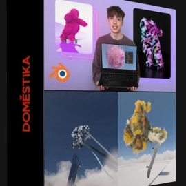 DOMESTIKA – DYNAMIC CHARACTER ANIMATION WITH BLENDER BY TONQ (Premium)