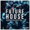Get Down Samples Future House Grooves & Loops [WAV] (Premium)