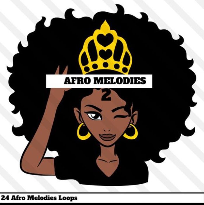 HOOKSHOW Afro Melodies 2 [WAV]