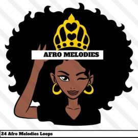 HOOKSHOW Afro Melodies [WAV] (Premium)