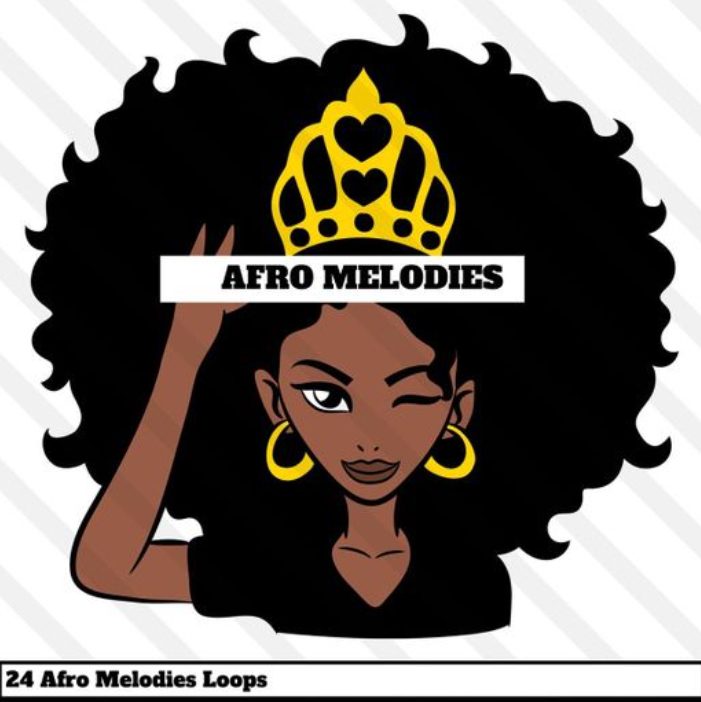 HOOKSHOW Afro Melodies [WAV]