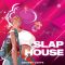 Smokey Loops Slap House [WAV] (Premium)