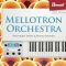 Beat MPC Expansion Mellotron Orchestra [MPC] (Premium)